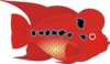Flowerhorn Fish Clip Art